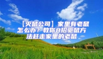 【滅鼠公司】家里有老鼠怎么辦？教你8招驅鼠方法趕走家里的老鼠