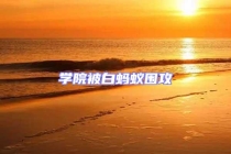 學院被白螞蟻圍攻