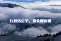 白蟻鉆空子，損失很慘重