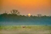 深圳滅臭蟲(chóng)公司,家中容易長(zhǎng)臭蟲(chóng)的原因