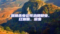 深圳殺蟲公司治理蚜蟲、紅蜘蛛、蚧蟲