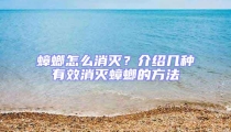 蟑螂怎么消滅？介紹幾種有效消滅蟑螂的方法
