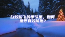 白蟻紛飛的季節(jié)里，如何進行有效防治？