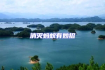 消滅螞蟻有妙招