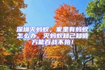 深圳滅螞蟻，家里有螞蟻怎么辦，滅螞蟻知己知彼方能百戰(zhàn)不殆！