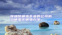 深圳除螨蟲(chóng)專(zhuān)業(yè)的公司防治螨蟲(chóng)滅螨蟲(chóng)方案