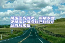跳蚤怎么消滅，深圳專業滅跳蚤公司說知己知彼才能百戰不殆