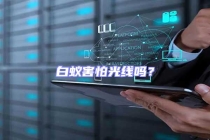 白蟻害怕光線嗎？