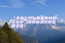 【殺蟲公司】家里有螞蟻怎么辦，告訴你消滅蟻王是關鍵！