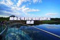 除蟲(chóng)公司對(duì)蚊蟲(chóng)防治的關(guān)鍵點(diǎn)