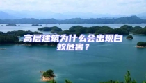 高層建筑為什么會出現白蟻危害？