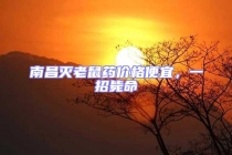 南昌滅老鼠藥價(jià)格便宜，一招斃命