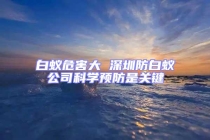 白蟻危害大 深圳防白蟻公司科學預防是關鍵