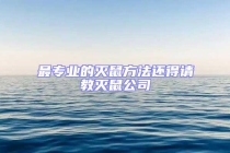 最專業的滅鼠方法還得請教滅鼠公司