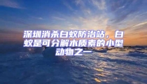 深圳消殺白蟻防治站，白蟻是可分解木質(zhì)素的小型動物之一