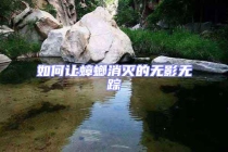 如何讓蟑螂消滅的無影無蹤