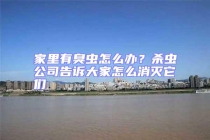 家里有臭蟲怎么辦？殺蟲公司告訴大家怎么消滅它們