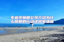 專業(yè)滅蟑螂公司介紹為什么蟑螂的行動這樣敏捷呢？