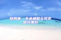 除四害：專業捕鼠公司滅鼠效果好