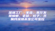 深圳工廠、家庭、餐廳發(fā)現(xiàn)蟑螂、老鼠、蚊子、蒼蠅找深圳殺蟲公司蟲控