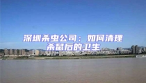 深圳殺蟲公司：如何清理殺鼠后的衛生