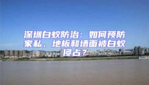 深圳白蟻防治：如何預(yù)防家私、地板和墻面被白蟻侵占？