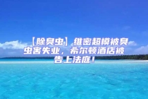 【除臭蟲】維密超模被臭蟲害失業，希爾頓酒店被告上法庭！