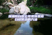 深圳防白蟻公司裝飾裝修白蟻防治的方法