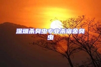 深圳殺臭蟲專業(yè)殺宿舍臭蟲