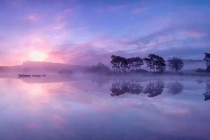 殺蟲公司專業團隊才有好的效果