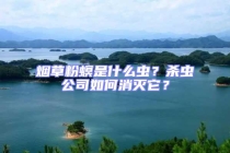 煙草粉螟是什么蟲？殺蟲公司如何消滅它？