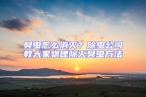 臭蟲怎么消滅？除蟲公司教大家物理除滅臭蟲方法