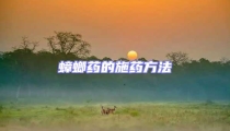 蟑螂藥的施藥方法