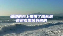 蟑螂的身上攜帶了哪些病菌病毒細菌有害的