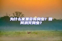 為什么家里會有臭蟲？如何消滅臭蟲？