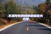 不是所有的蟑螂都能稱為小強