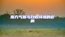南方氣候與白蟻環境的影響