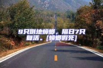 9只倒地蟑螂，隔日7只復活。[蟑螂假死]