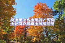 臭蟲是怎么出現(xiàn)的？滅臭蟲公司介紹臭蟲傳播途徑