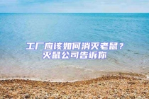 工廠應該如何消滅老鼠？滅鼠公司告訴你