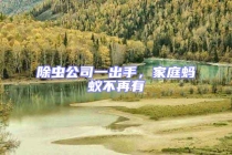 除蟲公司一出手，家庭螞蟻不再有