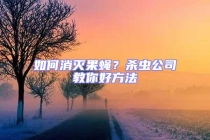 如何消滅果蠅？殺蟲公司教你好方法