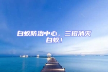 白蟻防治中心，三招消滅白蟻！