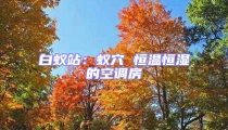 白蟻站：蟻穴 恒溫恒濕的空調(diào)房
