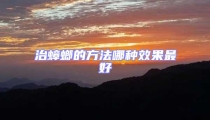 治蟑螂的方法哪種效果最好
