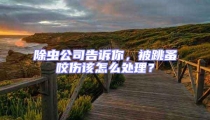 除蟲公司告訴你，被跳蚤咬傷該怎么處理？
