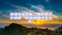 深圳殺蟲講解：如何有效滅蟑螂，廚房蟑螂該怎么滅？