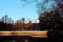 工廠殺蟲(chóng)