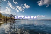 白蟻滅治重要點(diǎn)