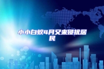 小小白蟻4月又來侵?jǐn)_居民